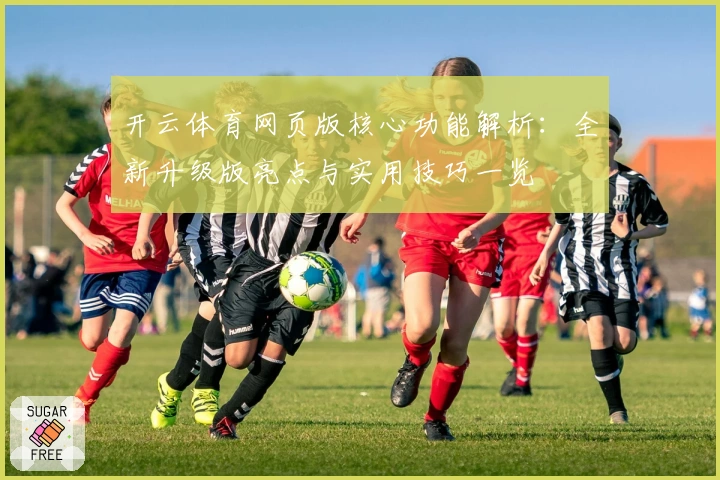 开云体育网页版核心功能解析：全新升级版亮点与实用技巧一览