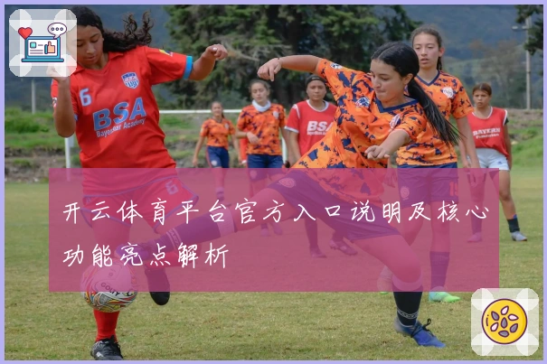 开云体育平台官方入口说明及核心功能亮点解析